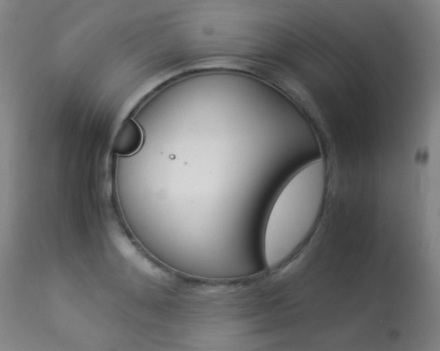 X0000113910892200909241303