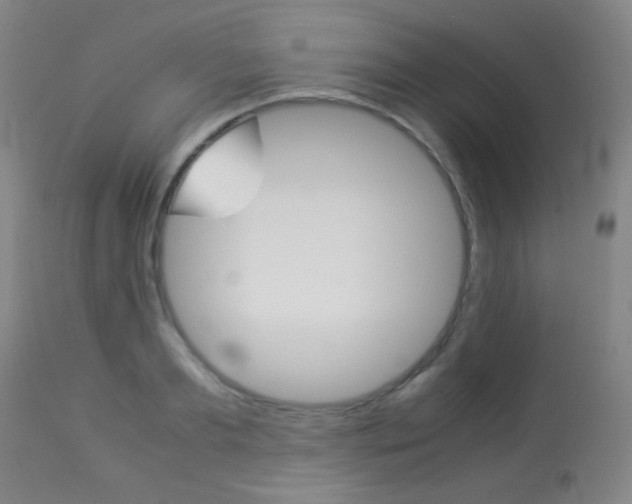 X0000113910893200909241303