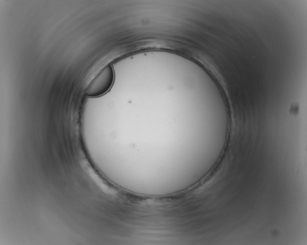 X0000113910898200909241303
