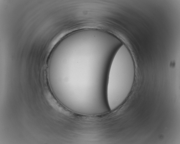 X0000113910899200909241303