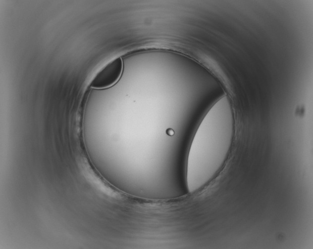 X0000113910900200909241303