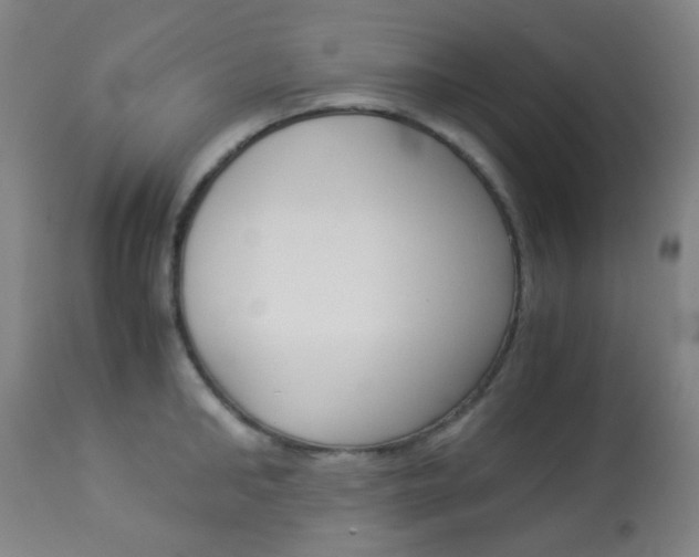 X0000113910902200909241303