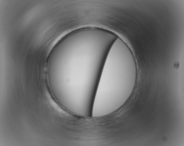 X0000113910903200909241303