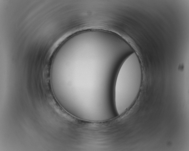 X0000113910904200909241303