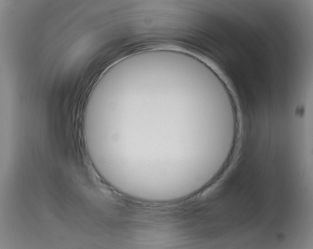 X0000113910905200909241303