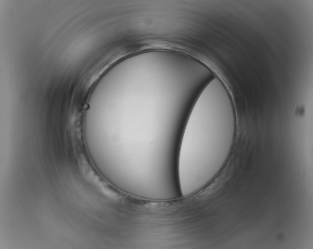X0000113910906200909241303