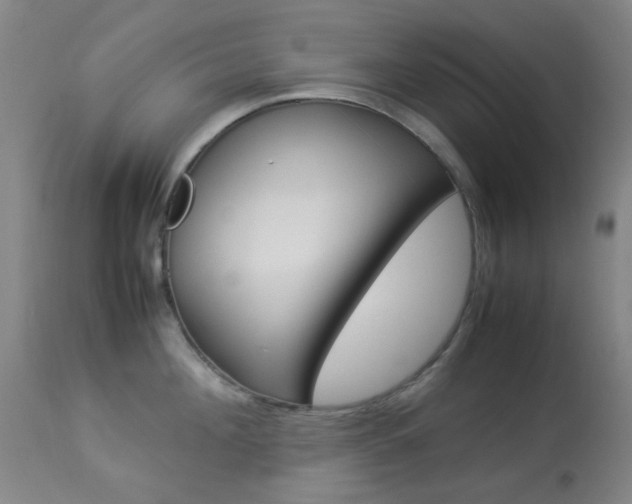 X0000113910908200909241303