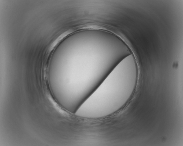 X0000113910909200909241303