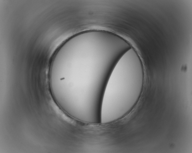 X0000113910910200909241303
