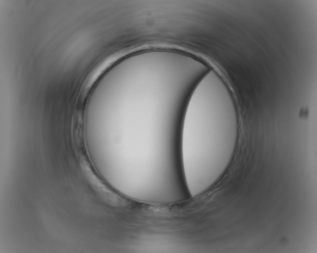 X0000113910911200909241303