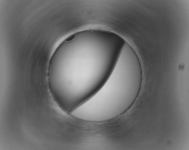 X0000113910912200909241303