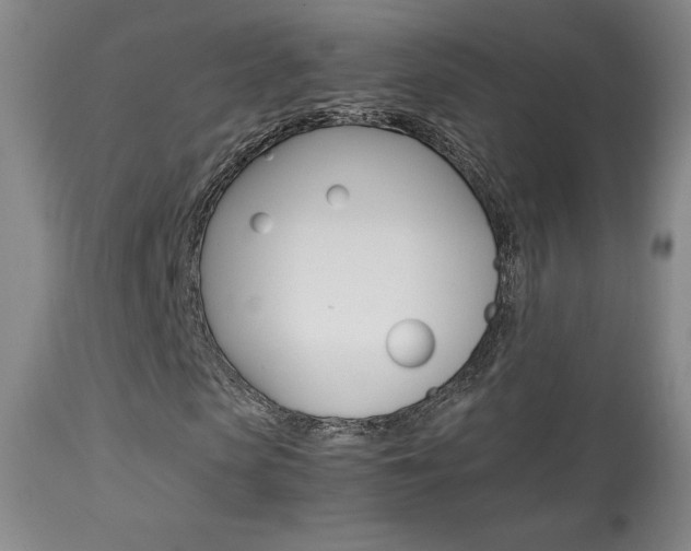 X0000113910913200909241302