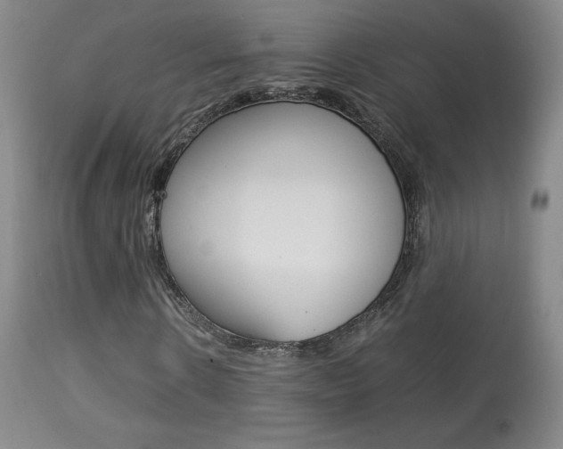 X0000113910914200909241302