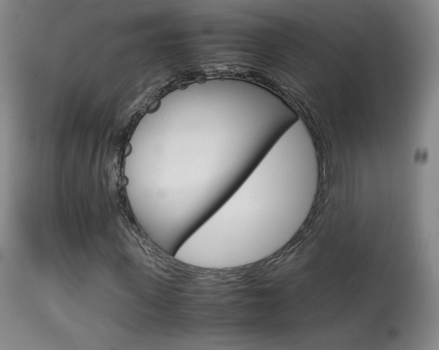 X0000113910915200909241302