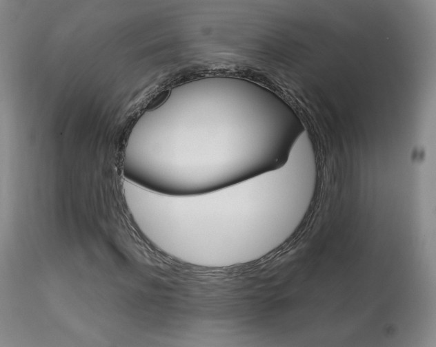 X0000113910916200909241302