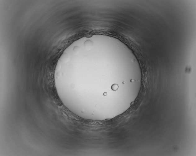 X0000113910917200909241302