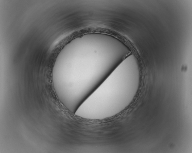 X0000113910919200909241302