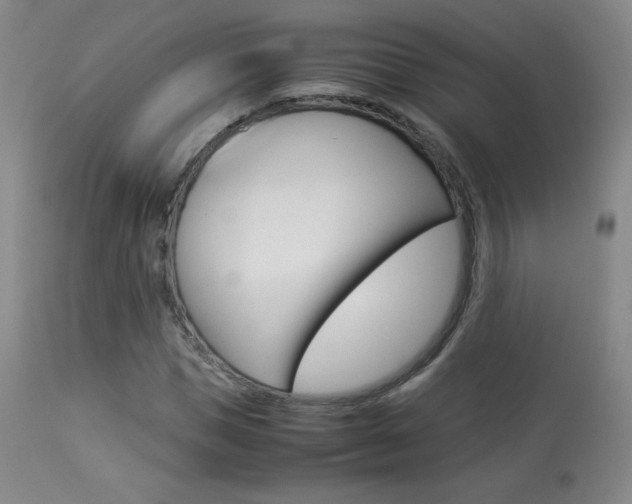 X0000113910921200909241302
