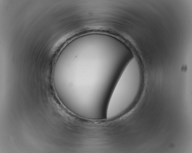 X0000113910922200909241302