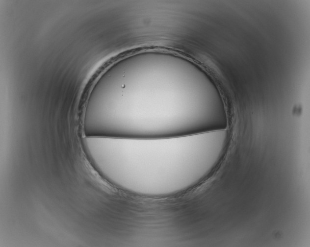 X0000113910924200909241302
