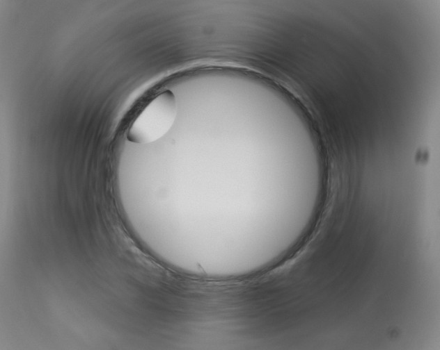 X0000113910926200909241302