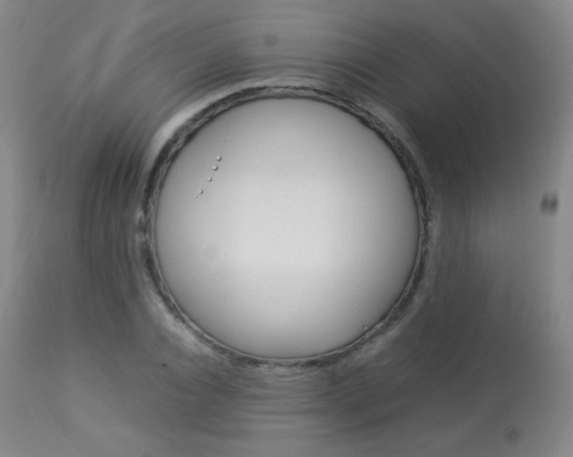 X0000113910928200909241302