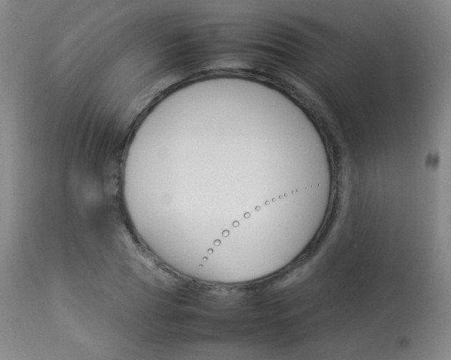 X0000113910929200909241302