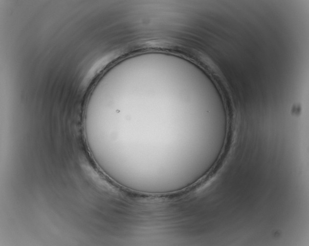 X0000113910930200909241302
