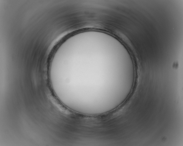 X0000113910931200909241302