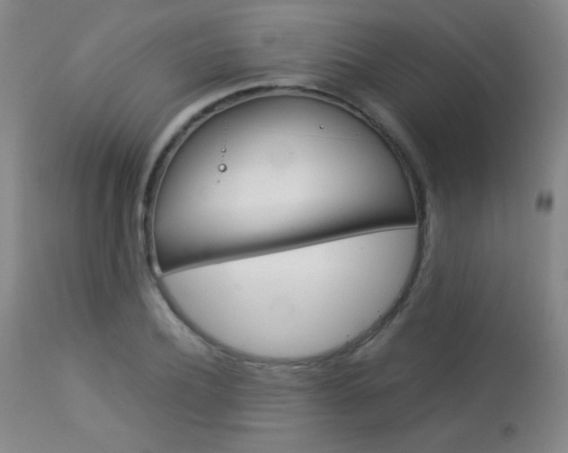 X0000113910932200909241302