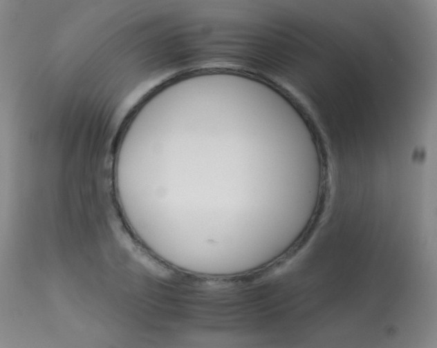 X0000113910933200909241302