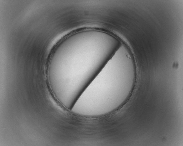 X0000113910935200909241302