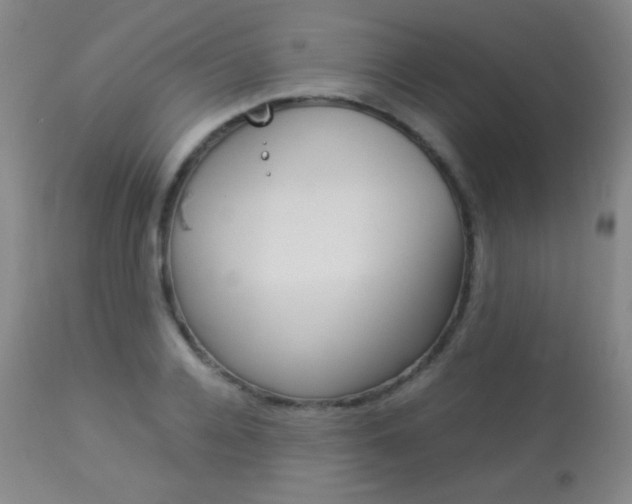 X0000113910936200909241302