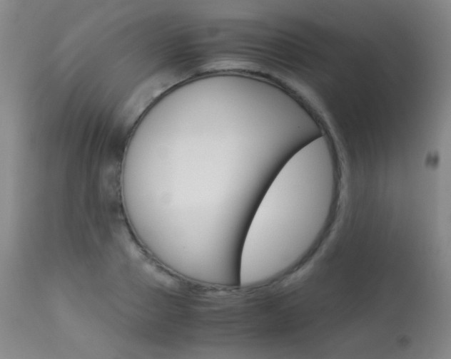 X0000113910937200909241302