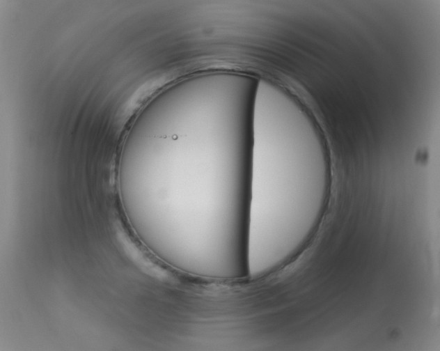 X0000113910938200909241302
