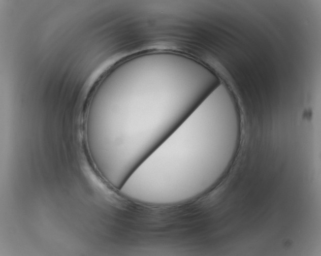 X0000113910939200909241302