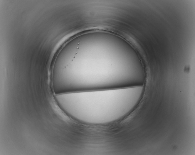 X0000113910940200909241302