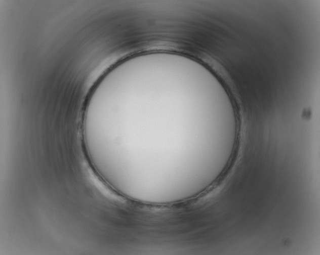 X0000113910941200909241302
