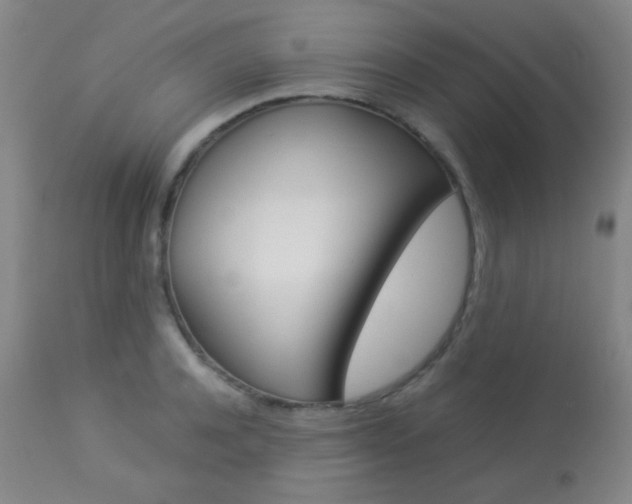 X0000113910944200909241302