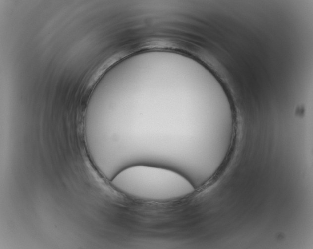 X0000113910945200909241302