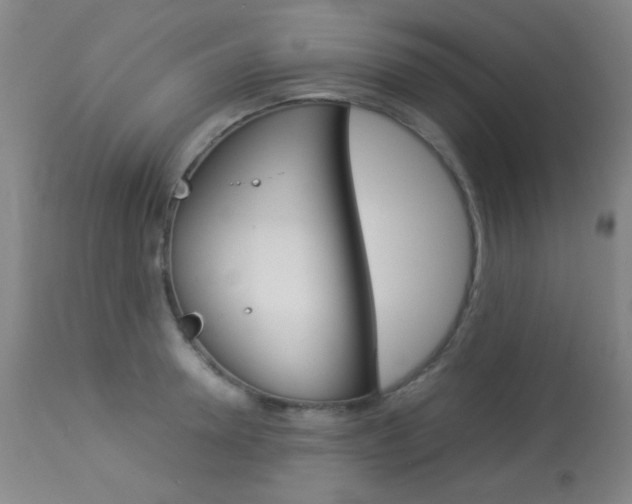 X0000113910946200909241302