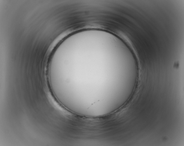X0000113910947200909241302