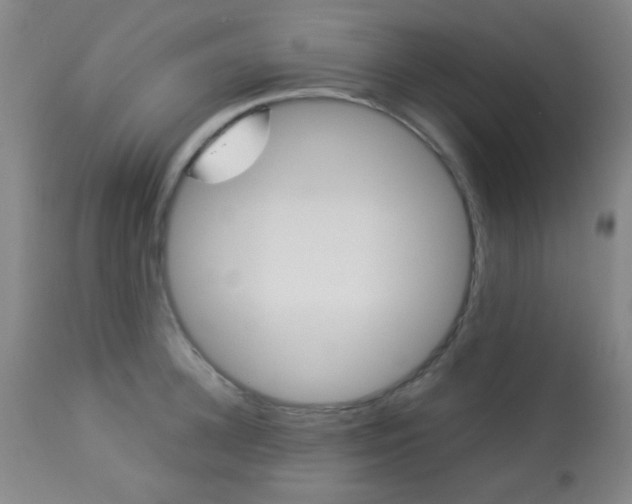 X0000113910948200909241302