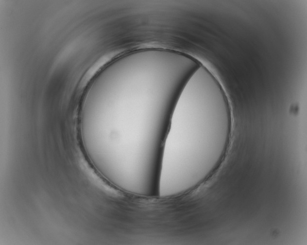 X0000113910949200909241302
