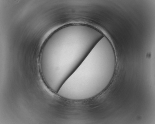 X0000113910951200909241302