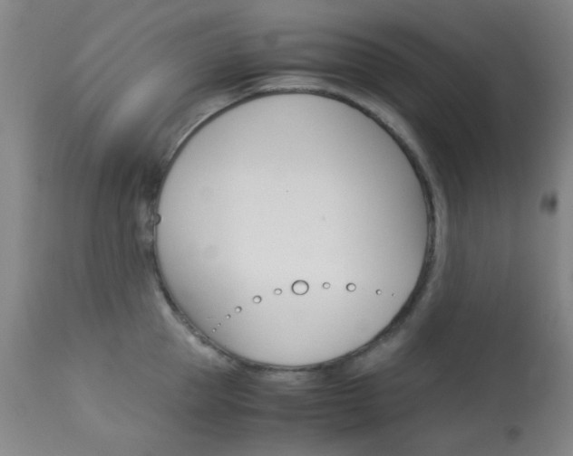 X0000113910953200909241302