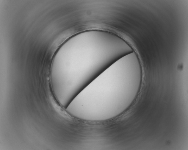 X0000113910954200909241302