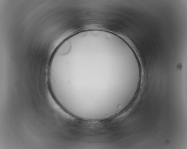 X0000113910957200909241302