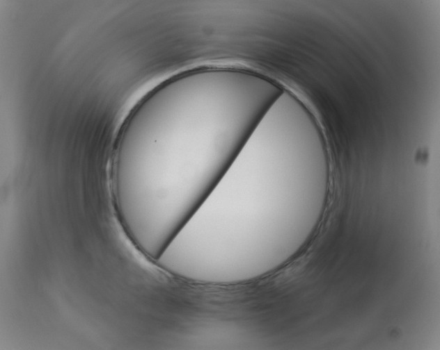X0000113910959200909241302