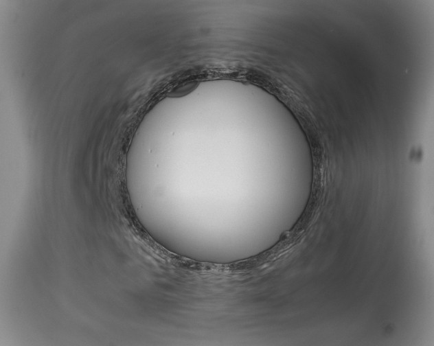 X0000113910961200909241302